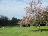 Plettenberg Bay golf course