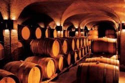 Wine Cellar
